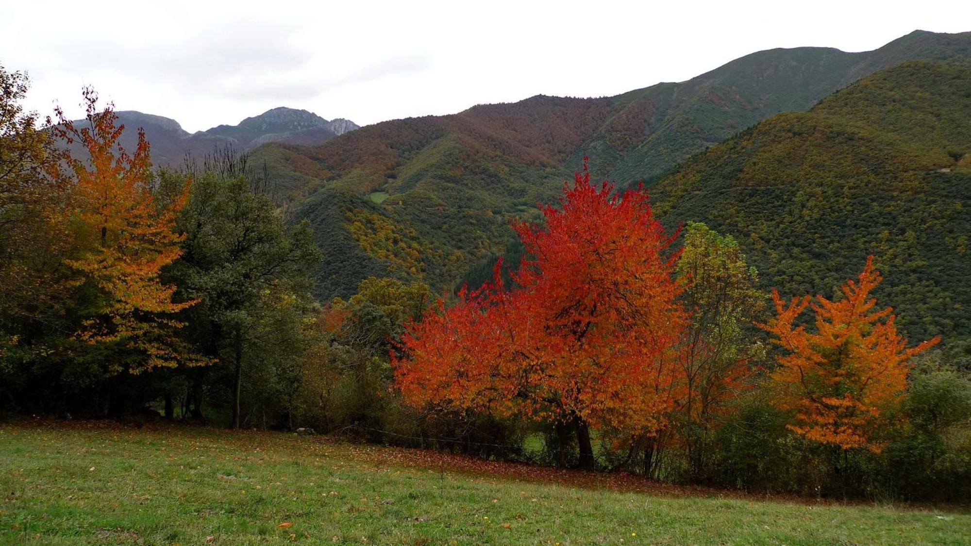 Casa Rural Los Llares Lerones エクステリア 写真